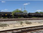 UTLX 630648